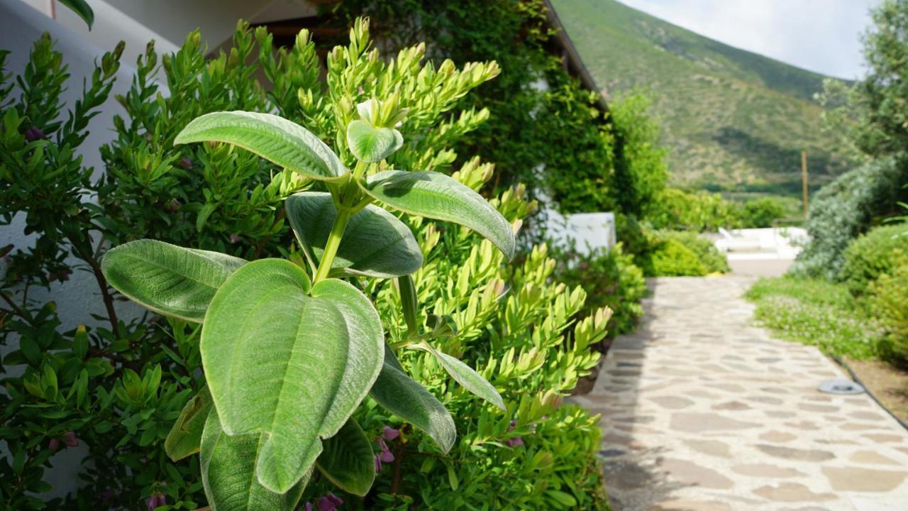 Le Casette Di Malfa Εξωτερικό φωτογραφία